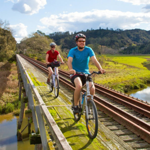 Cycle the Twin Coast Cycle Trail