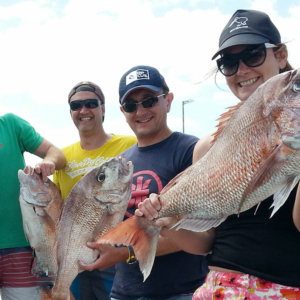 Fishing Charters in the Bay of Islands fishing charter bay of islands - days out charters