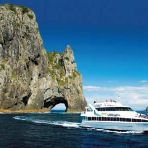 Hole in the Rock Boat Trip hole in the rock bay of islands