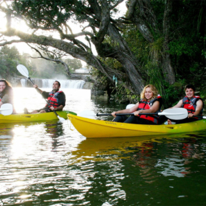 kayaking in the bay of islands