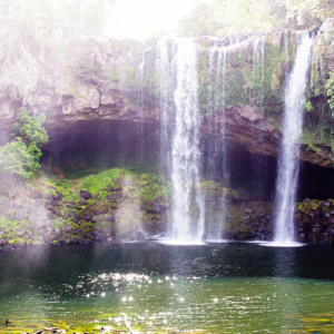 rainbow falls walk kerikeri