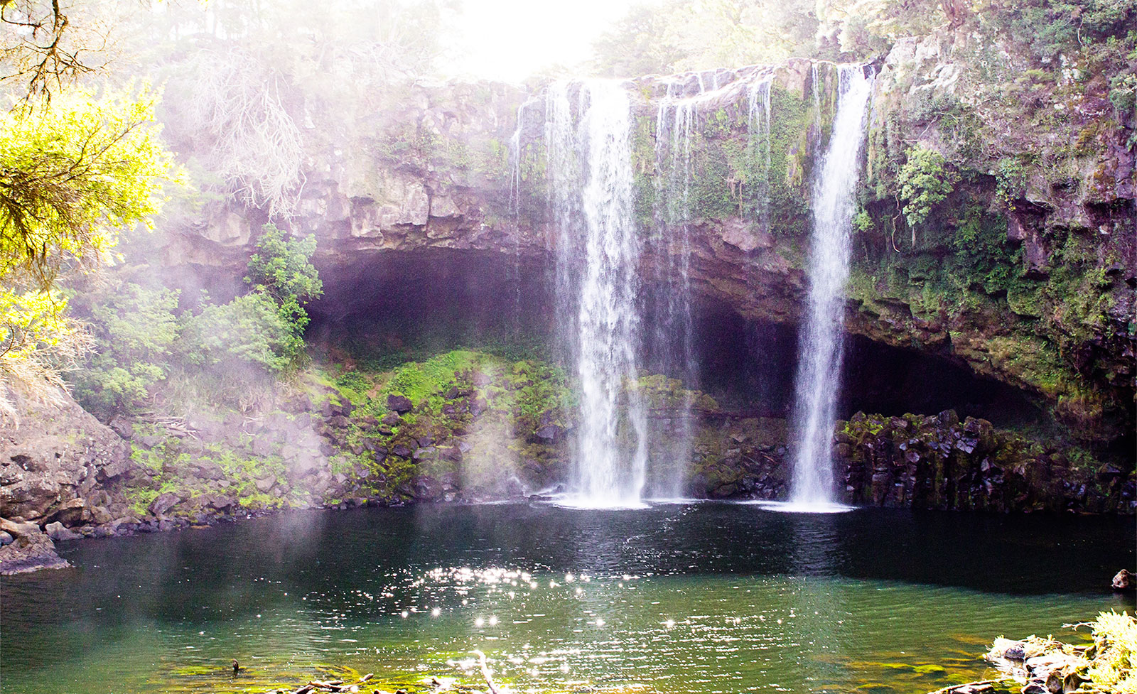 rainbow falls walk kerikeri