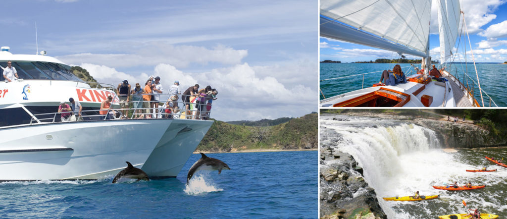 boat trips and things to do in bay of islands