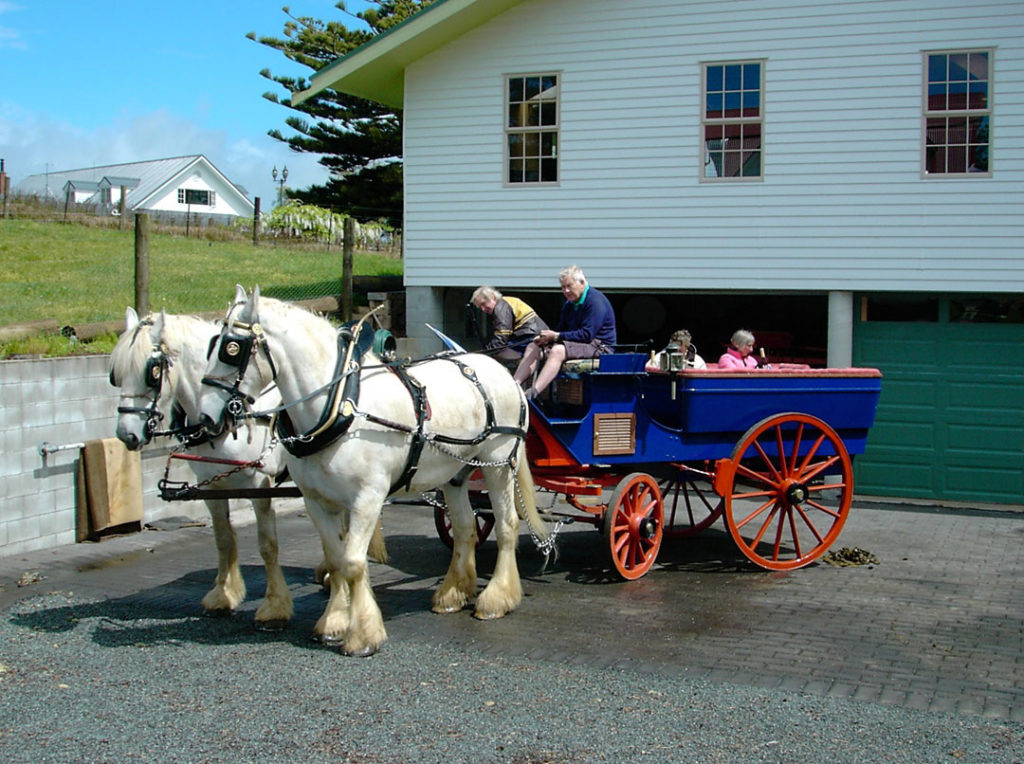 horse and cart outside the carriage house accommodation kerikeri