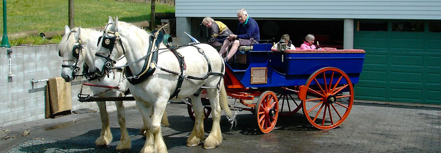 About Us The Carriage House – Bay of Islands